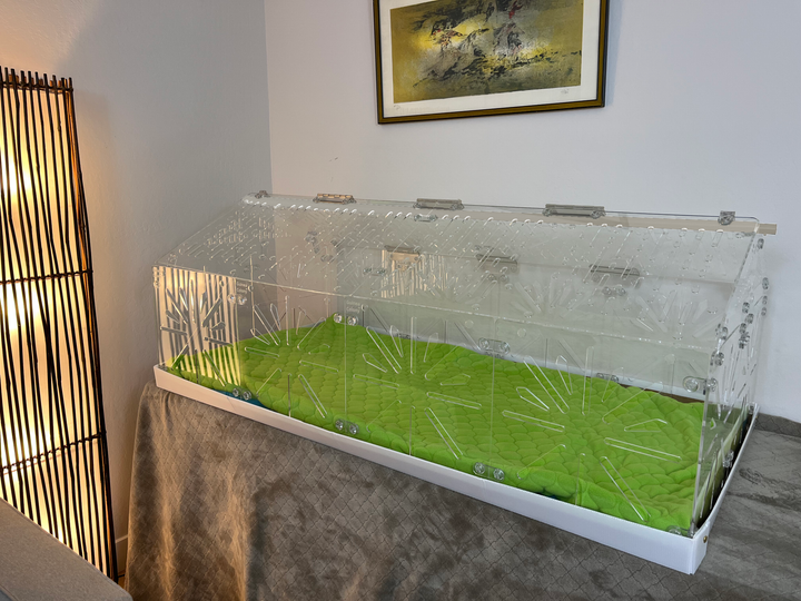 Guinea Colony Roof Lid