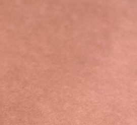 Guinea Colony Disposable Floor Liner Pack - Critter Colony Club - kraft color