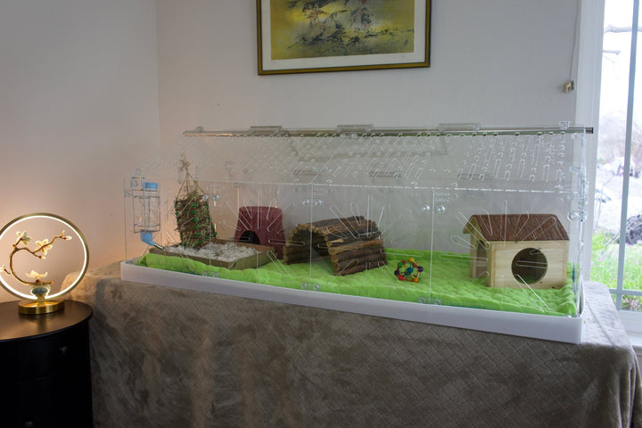 Guinea Colony Roof Lid - Critter Colony Club - Guinea Colony Roof Lid