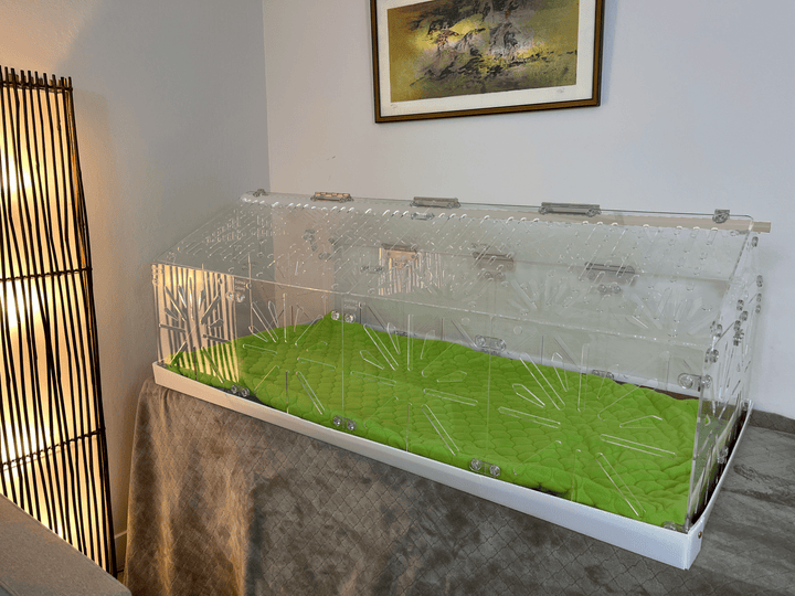 Guinea Colony Roof Lid - Critter Colony Club - Guinea Colony Roof Lid