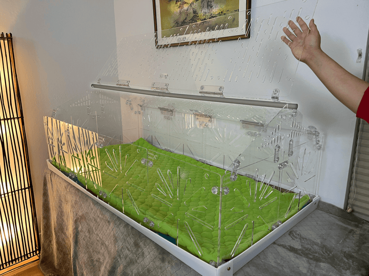 Guinea Colony Roof Lid - Critter Colony Club - Guinea Colony Roof Lid