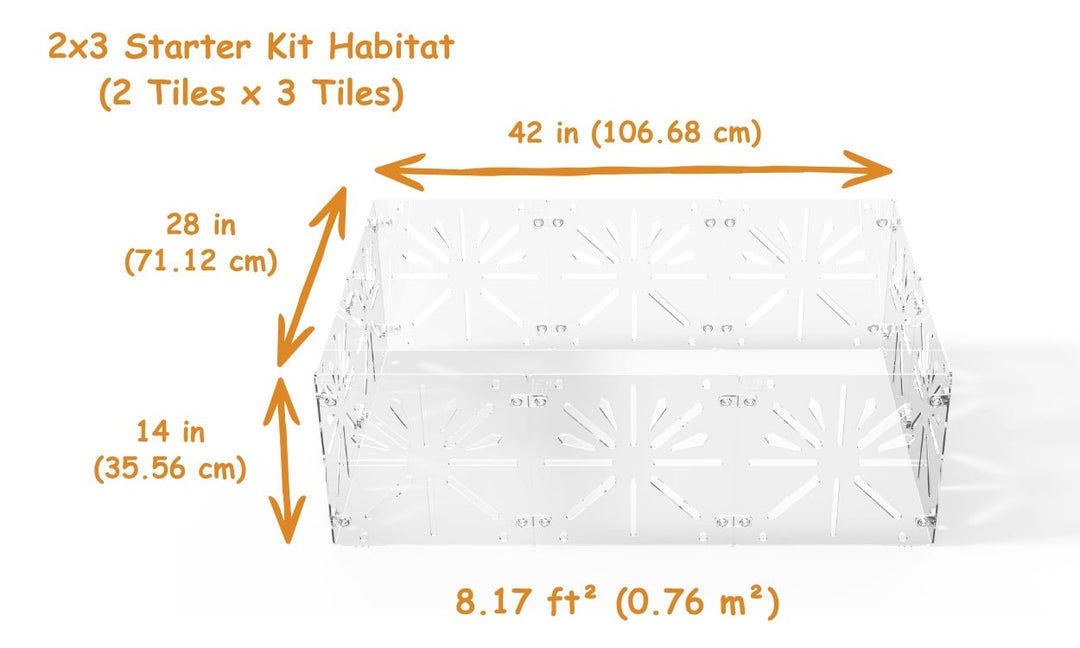 Guinea Colony Starter Kit - Critter Colony Club - Guinea Colony Starter Kit