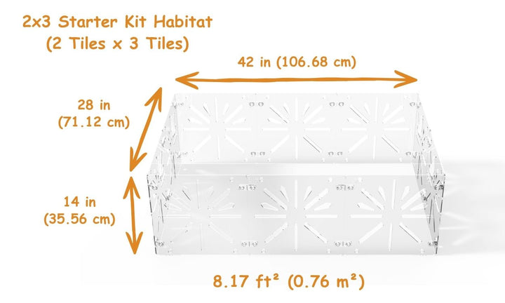 Guinea Colony Starter Kit - Critter Colony Club - Guinea Colony Starter Kit