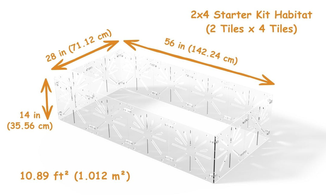 Guinea Colony Starter Kit - Critter Colony Club - Guinea Colony Starter Kit