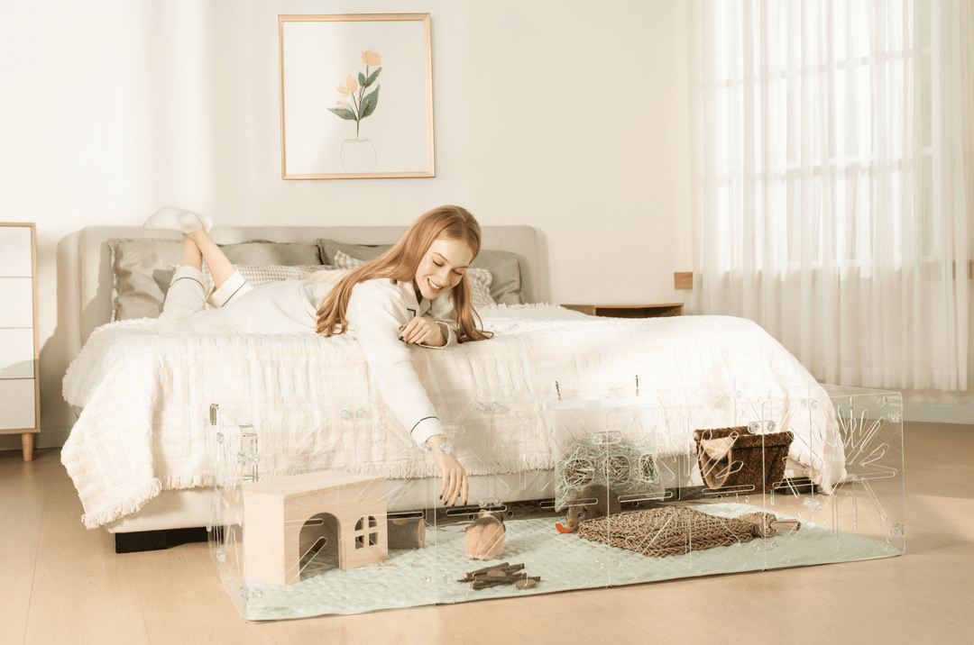 Guinea Colony Starter Kit - Critter Colony Club - Girl lying on a bed with a transparent guinea pig cage on the floor in front of her.