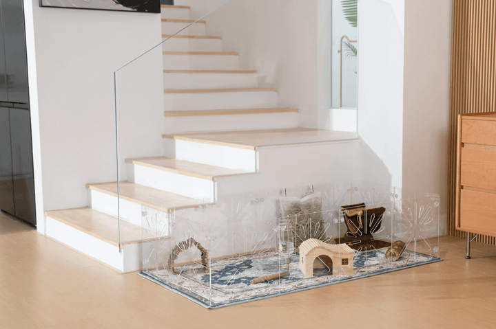 Guinea Colony Starter Kit - Critter Colony Club - Guinea pig cage in modern house with clear panels matching the clear staircase