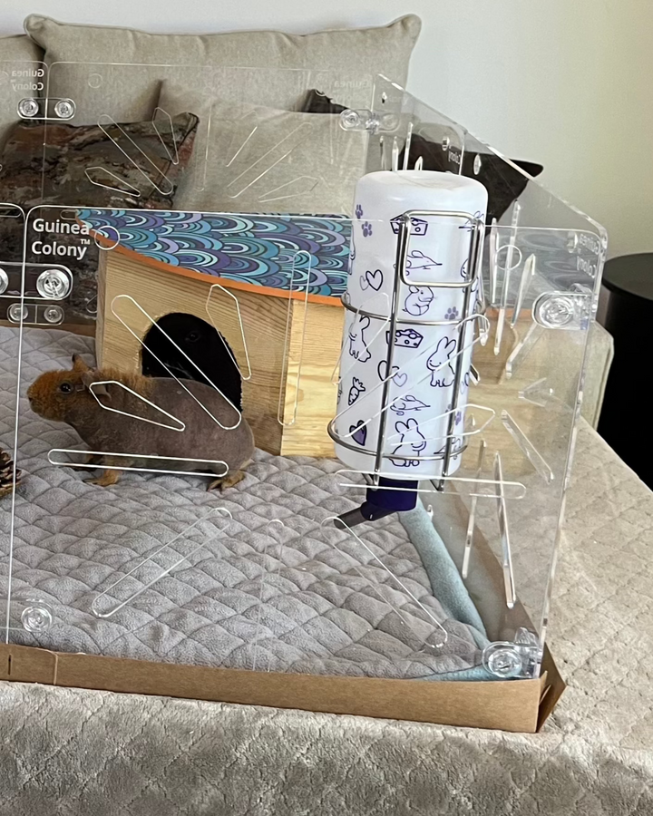 This Guinea Pig Cage simple water bottle holder fits almost any water bottle.