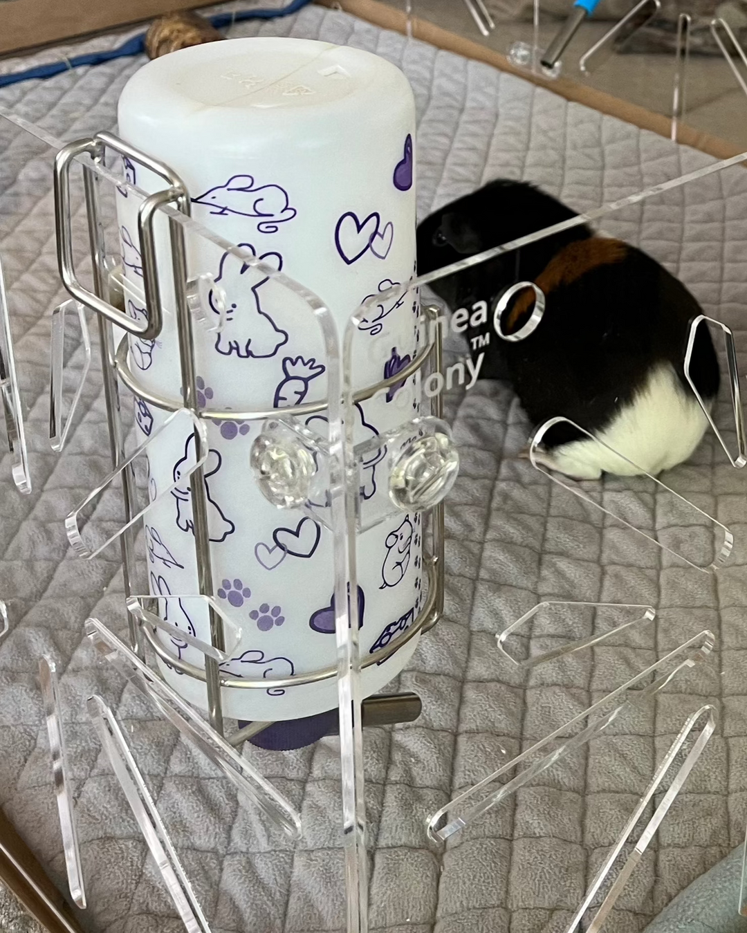 This Guinea Pig Cage simple water bottle holder fits almost any water bottle.